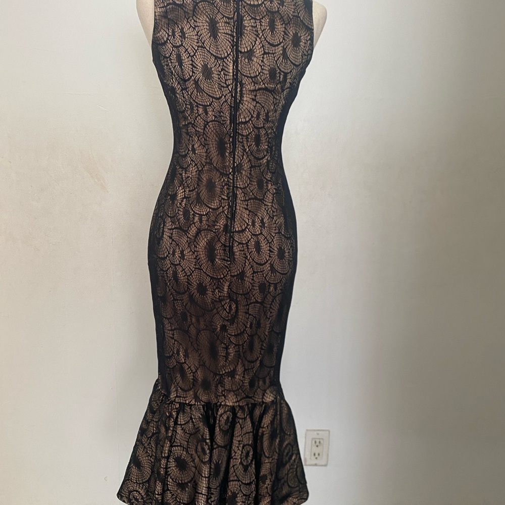 Pinup Couture spiderweb Lace dress size small UNICORN! - Picture 2 of 6